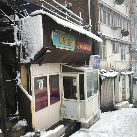 Exotic Naturals Guest House Shimla Exterior foto